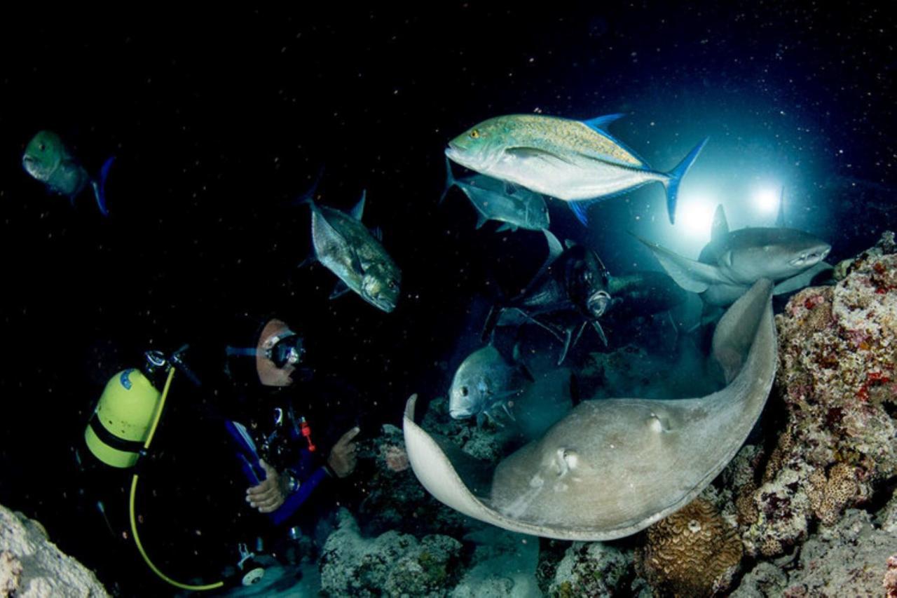 Roatan Yacht Club&Dive Center Hotel French Harbour Buitenkant foto
